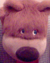 ����� �������