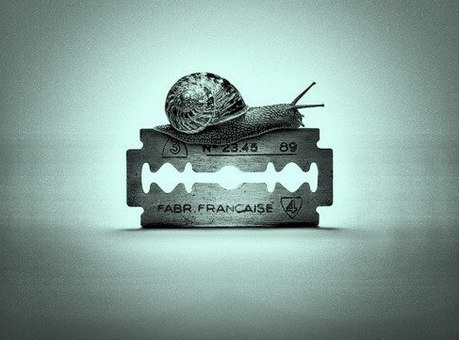 �������� ��������