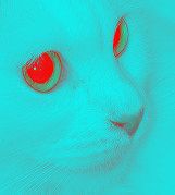 ����� ���