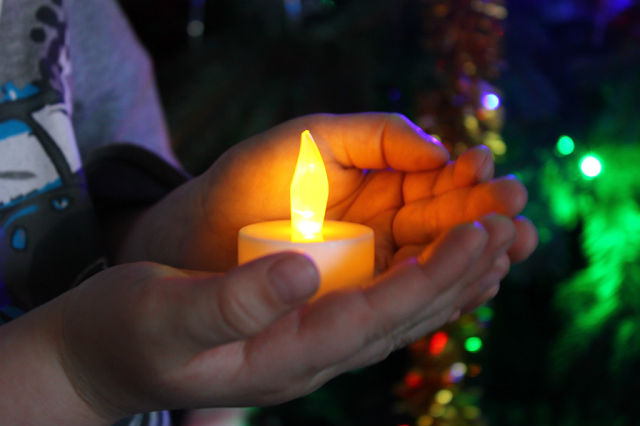 ������ ���