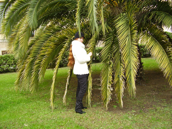 �������� ����� ������