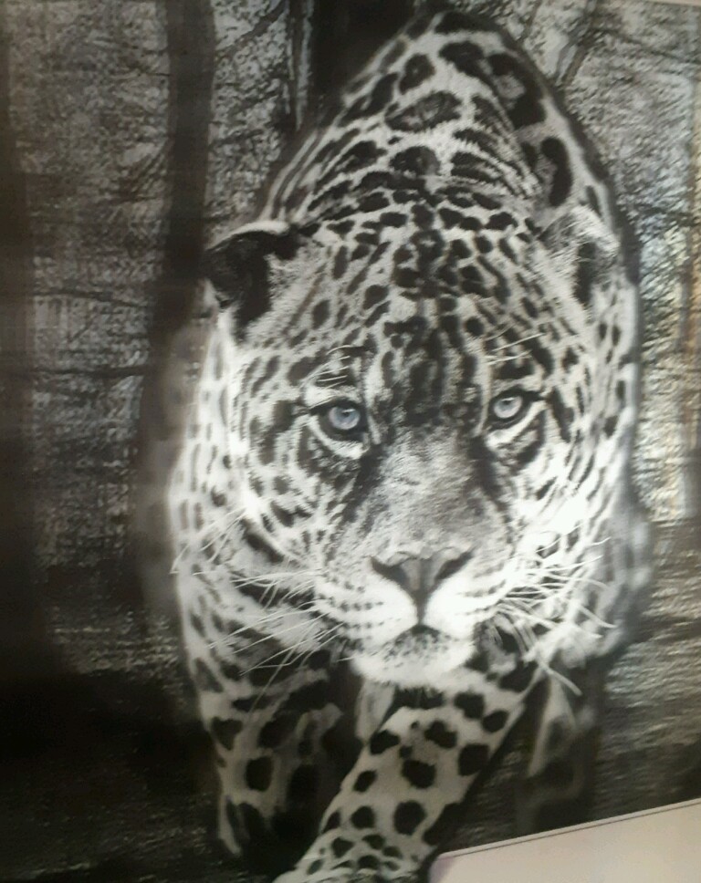 ������ ���������