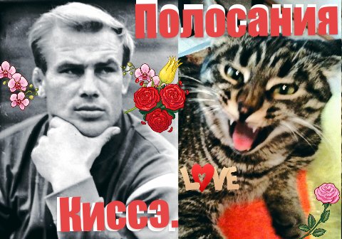 �������� ��������� �������