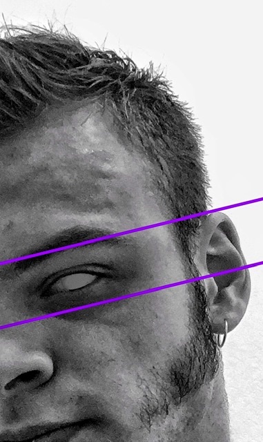 Макс Космин