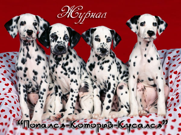 ������� -������� -�������