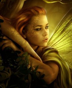 ������ ����