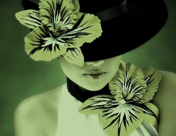 ������� ������������