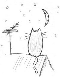 Кошка На Крыше