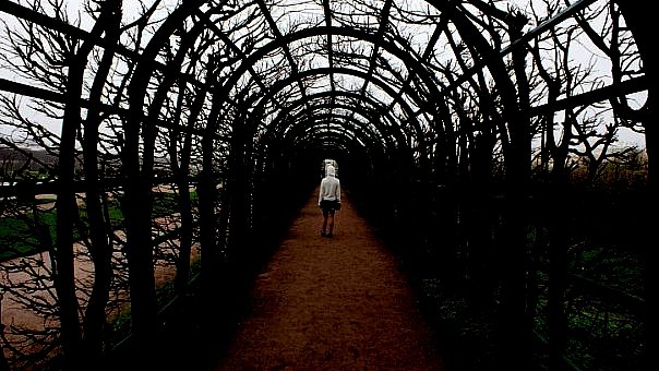 �������� �����