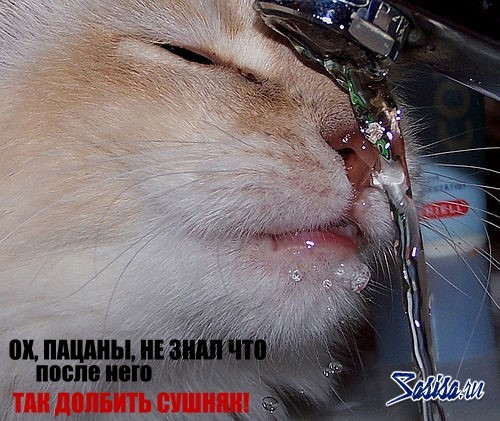 Андрей Курнули