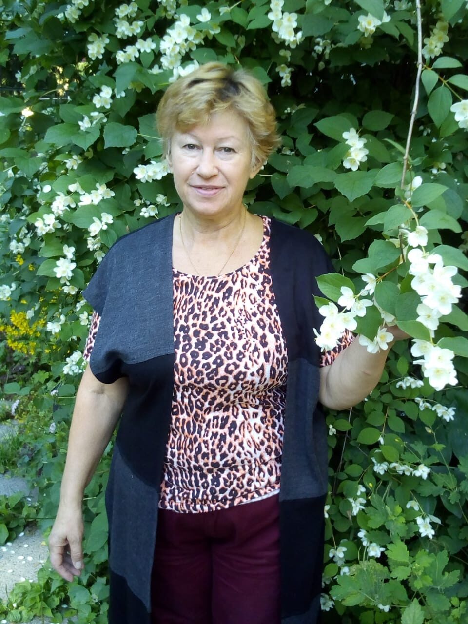 ������� ��������