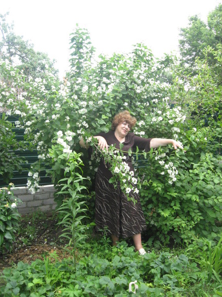 ���� �������