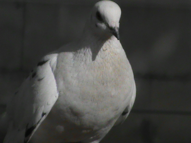 ��������� �������� 2