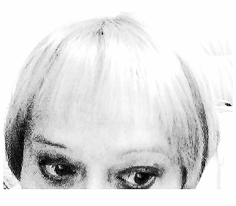 ������ ���������