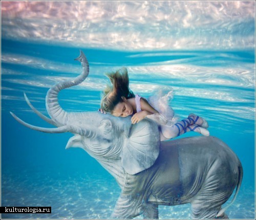 ���� ������