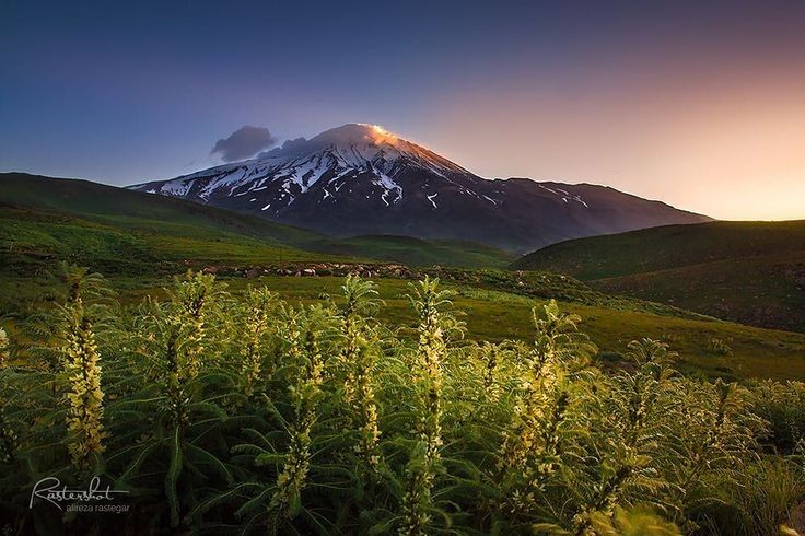 �������� ����������