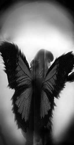 ������ �������