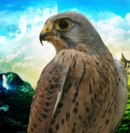 Катарина Лэдженс