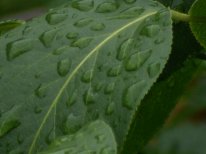 ������ 01