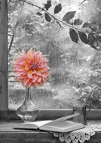 ������� ��������