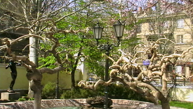 ���� ������