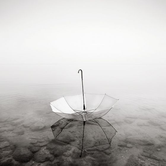 ������ ����������