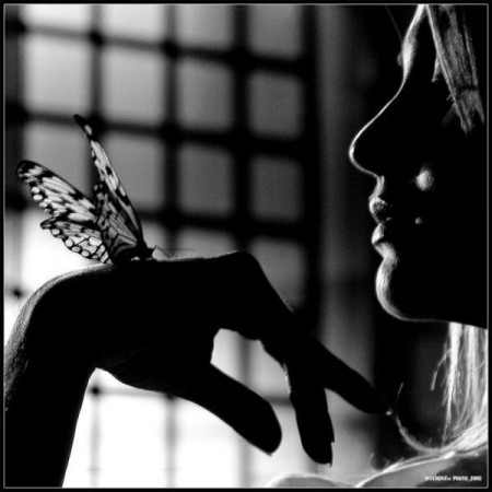 ��� �����������