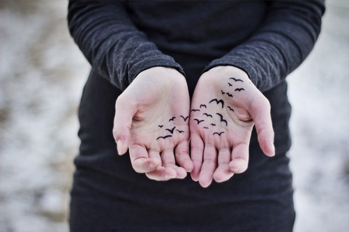 ������� �����������