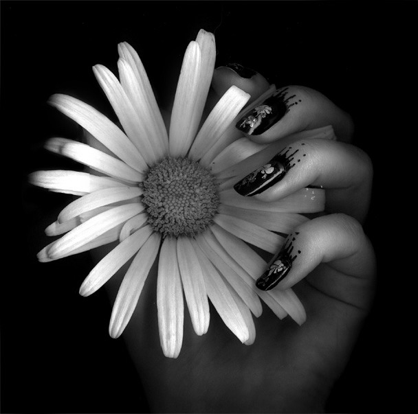 ������� ��������