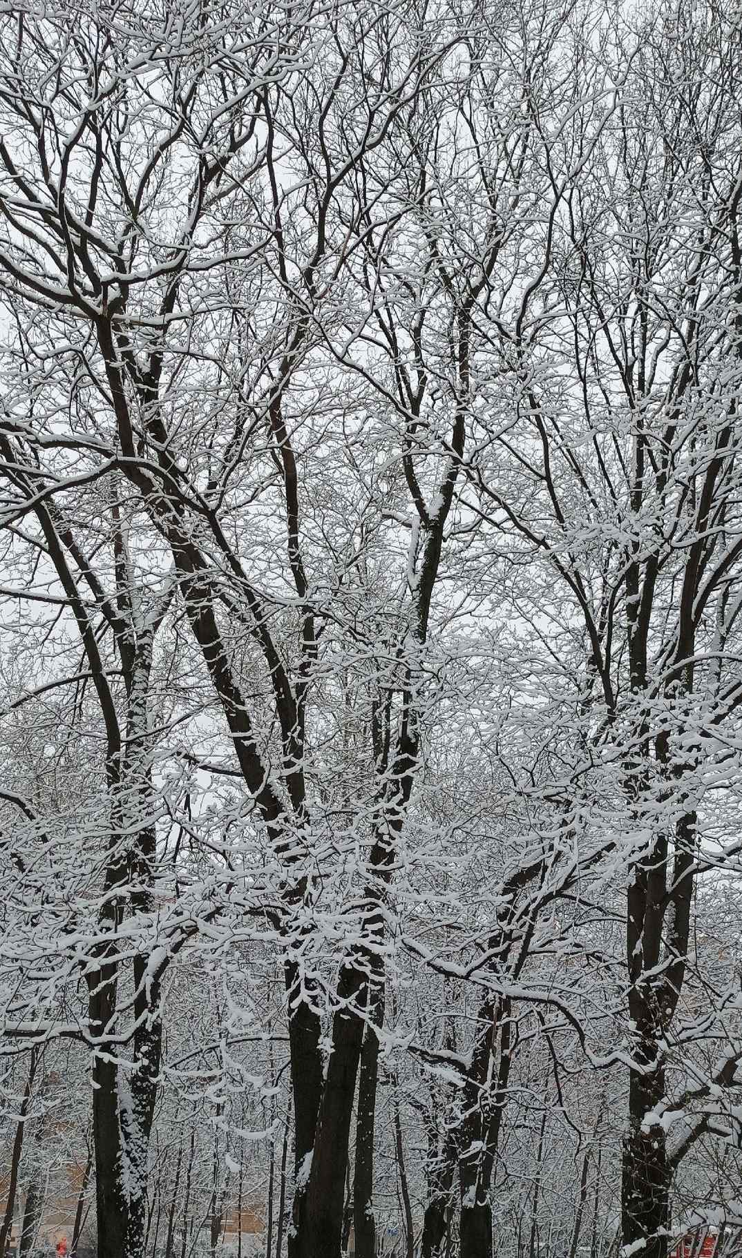 Наталья Евтеева