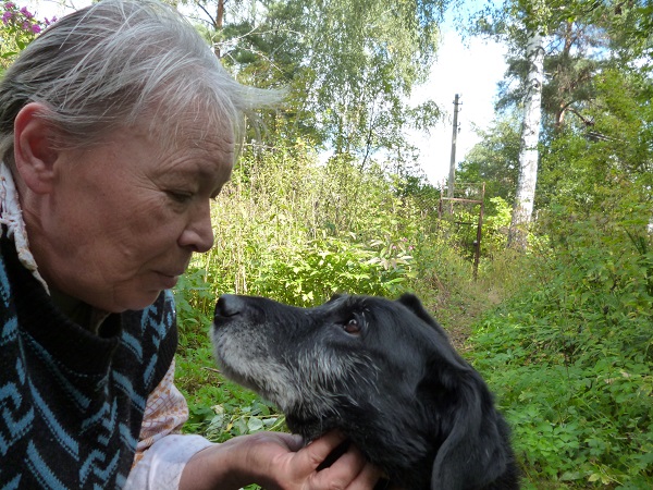 ������� ������ 2