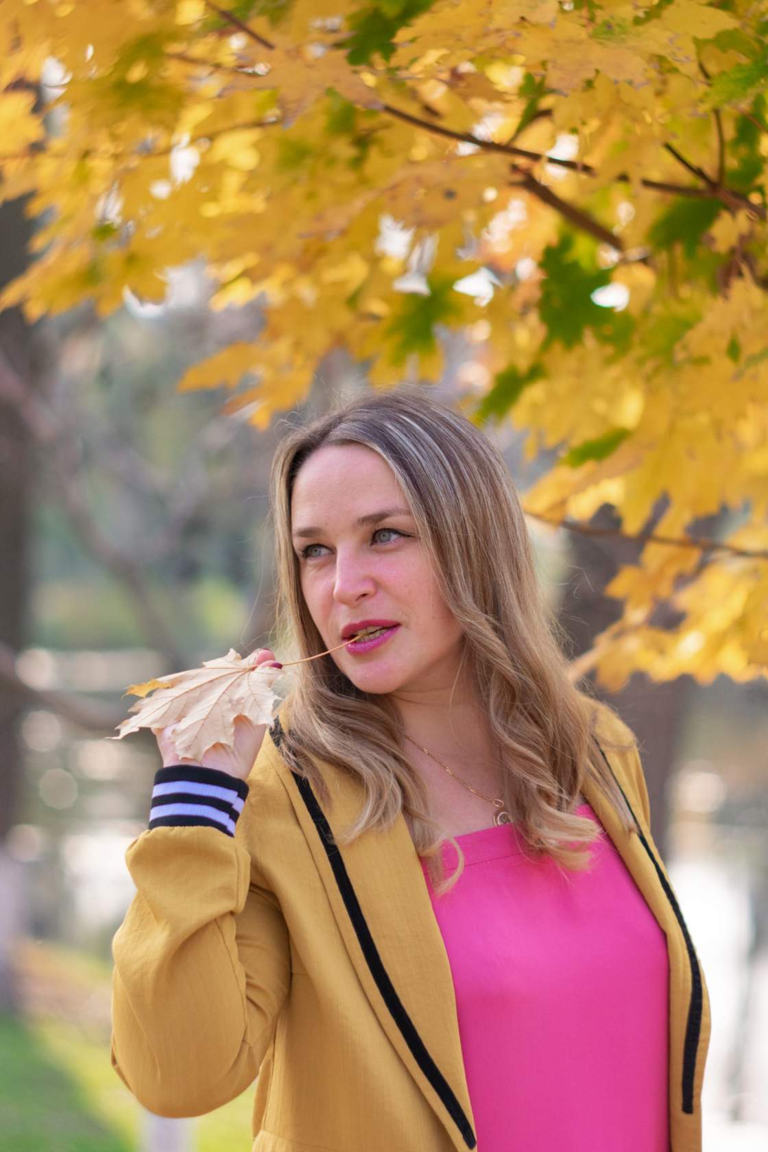 ������� ������� ����������