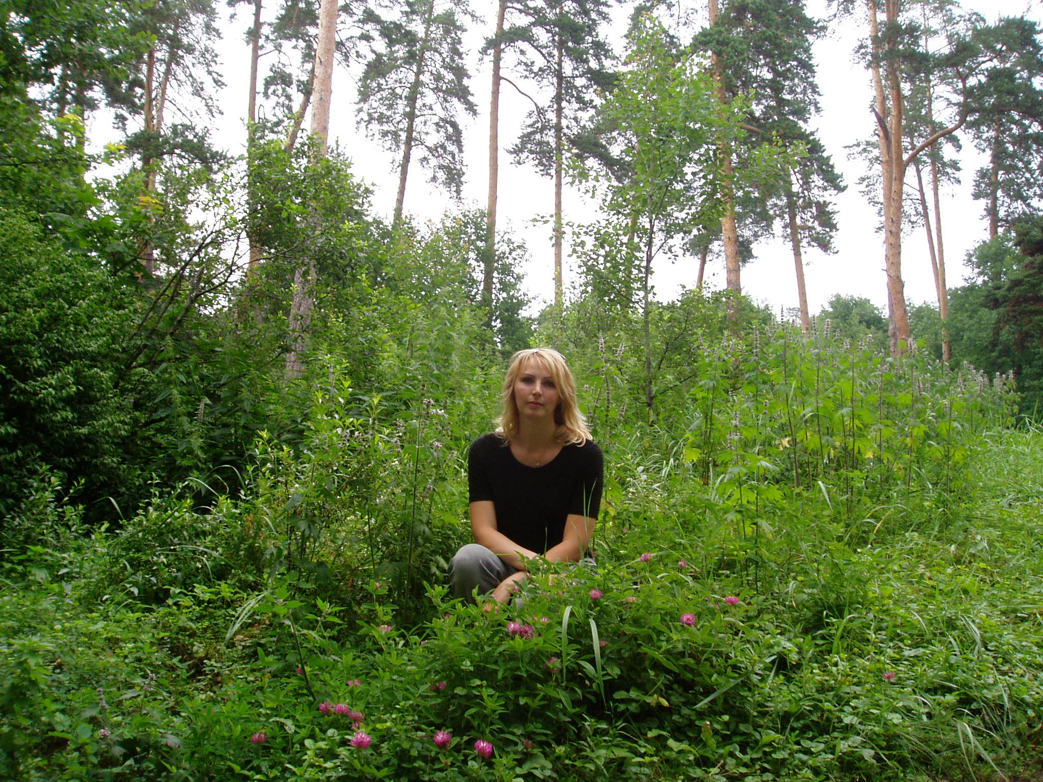 ������ ��������������