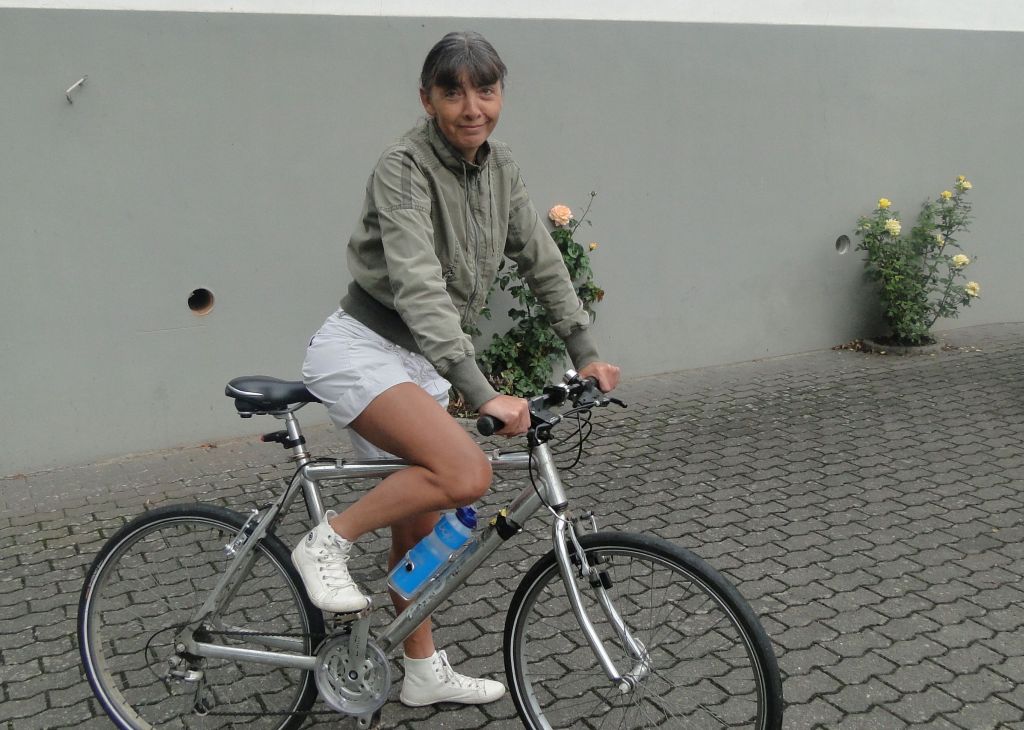 ������� ������� 26