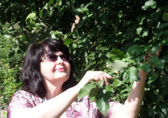 ������� �������