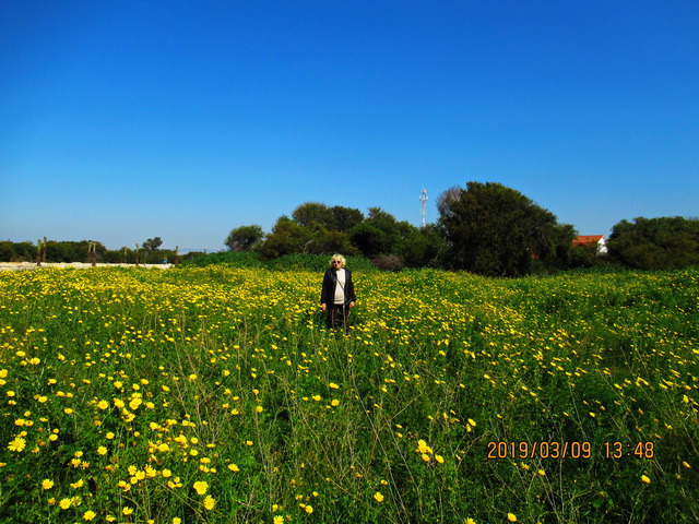 ���� ���������