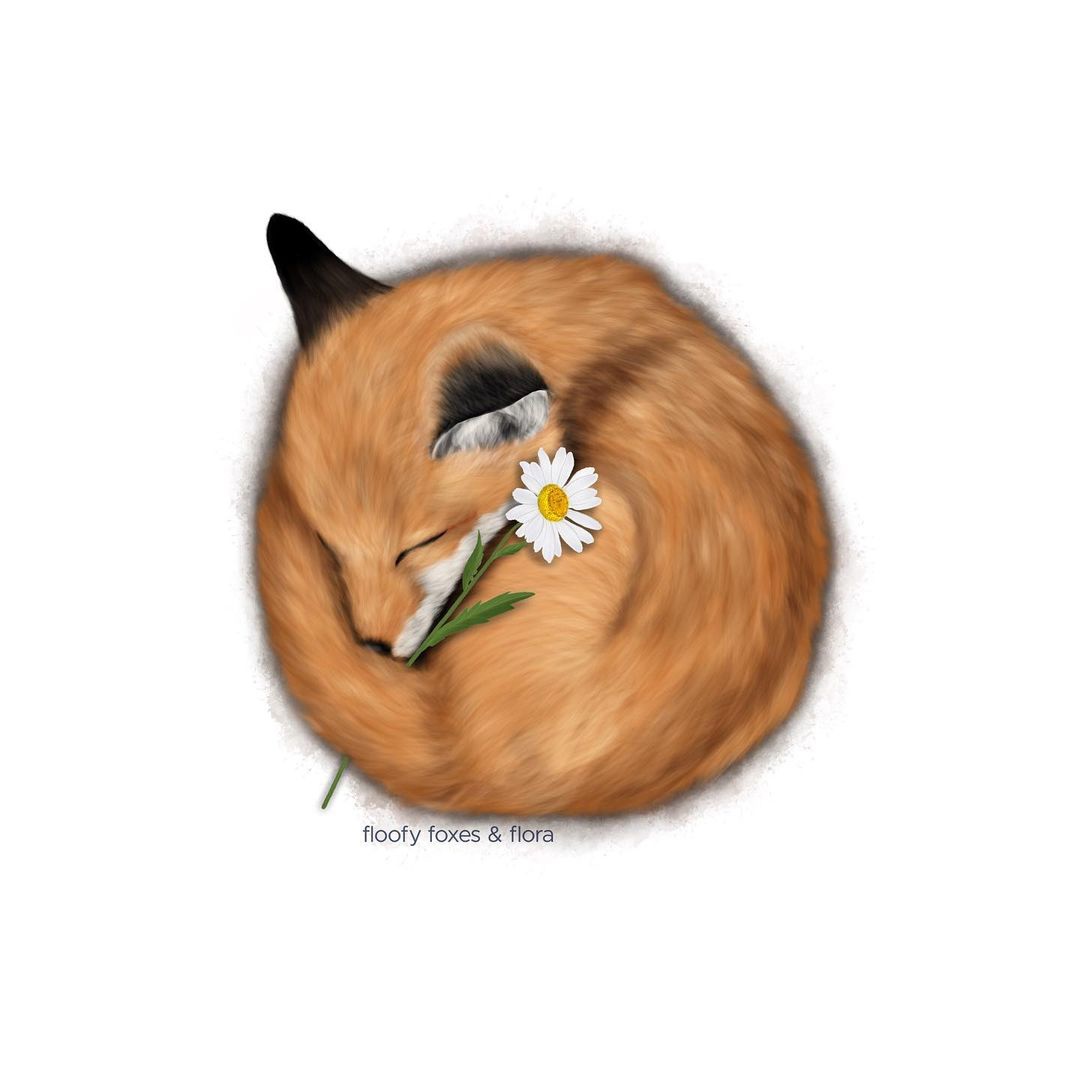 ������ �����