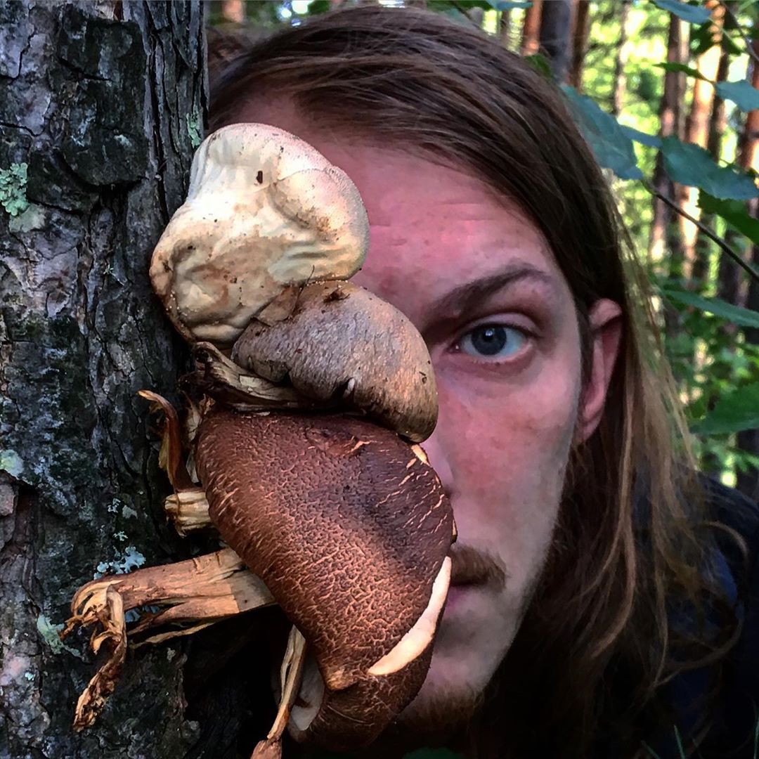 ������ ��� ����