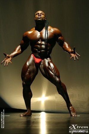 �������� 2