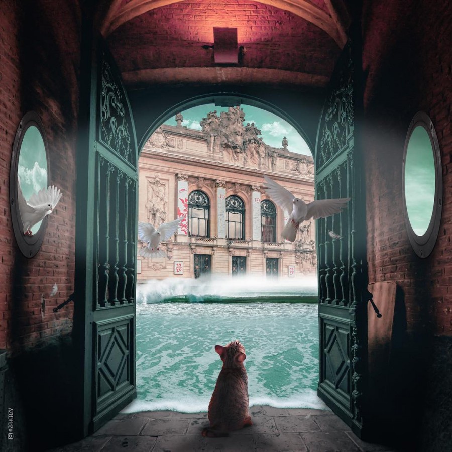 ���� �������