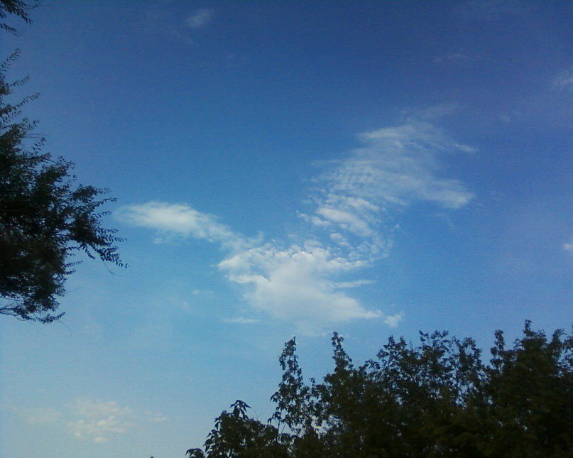 Наталия Корнилова