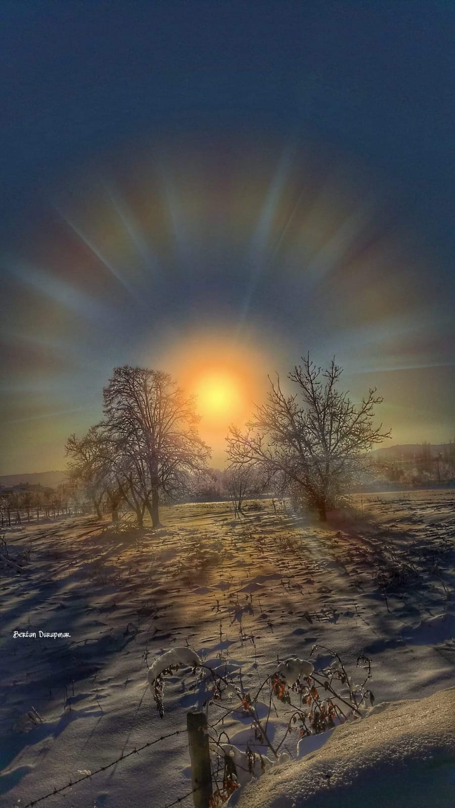 ���� ��������