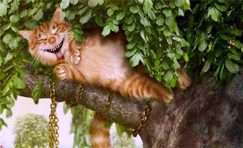 Константин Нэдике