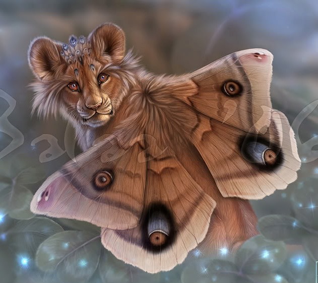 ���� ������