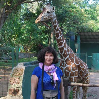 ������ ���������