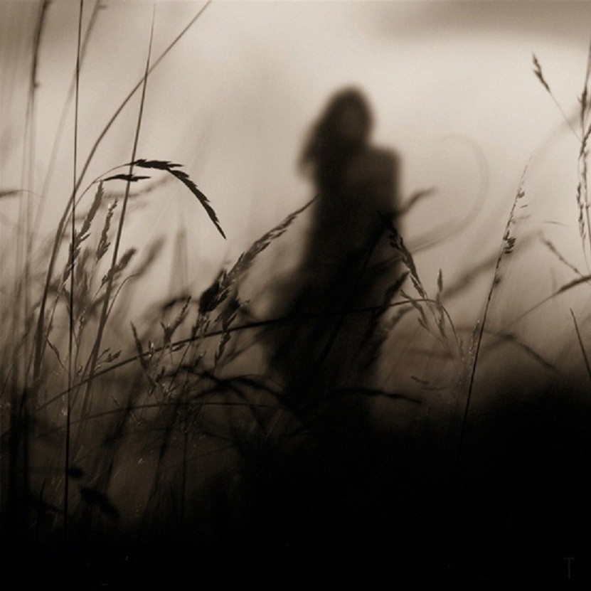 ���� ���������