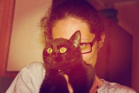 ���� �����