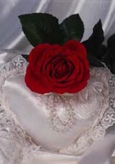 Светлана Аданькина