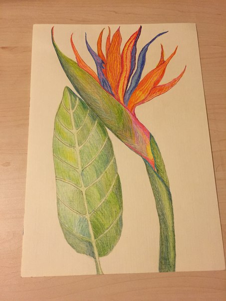 ������� ���������