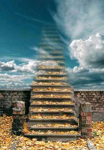 ����� ���������